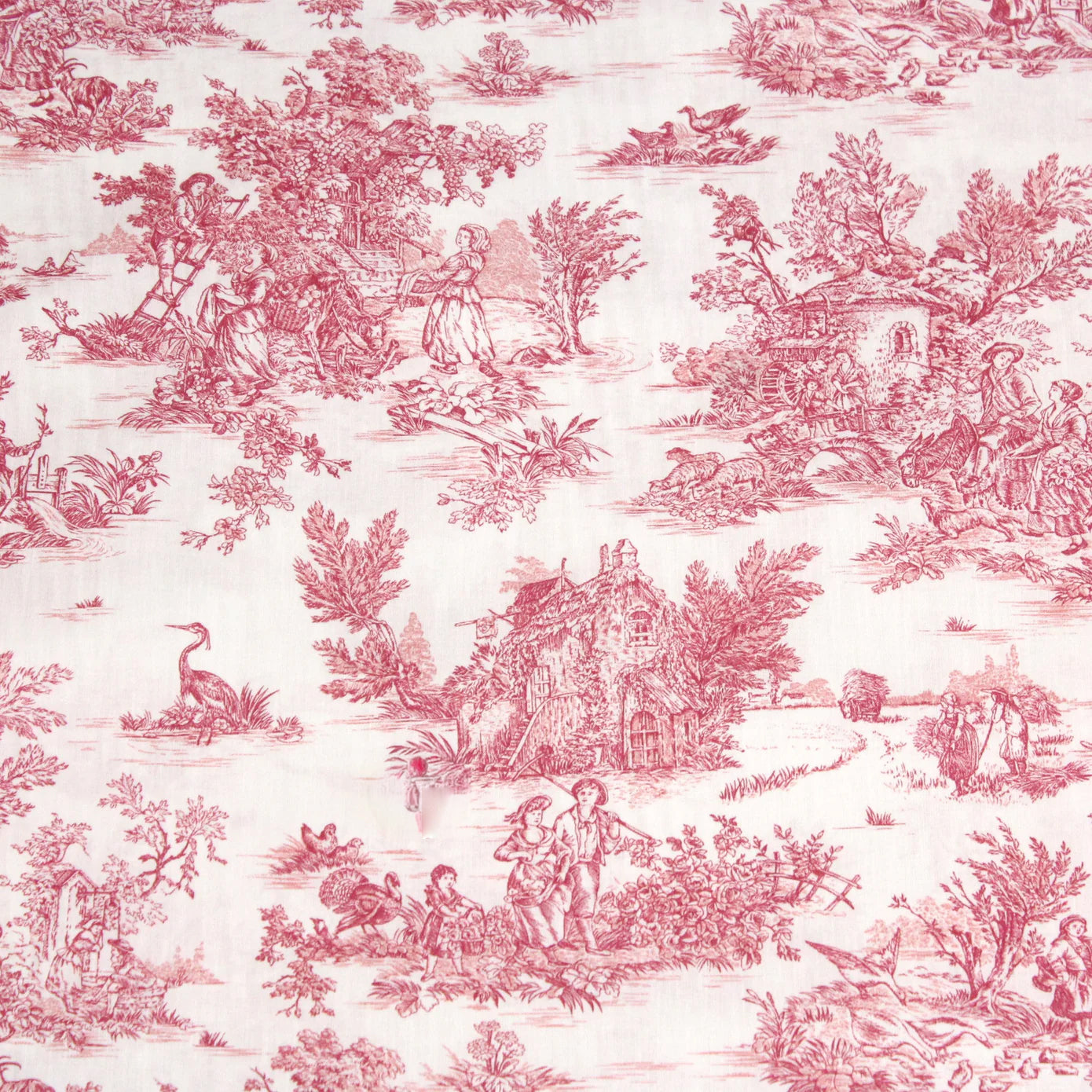 Chemise Arthur - Rose