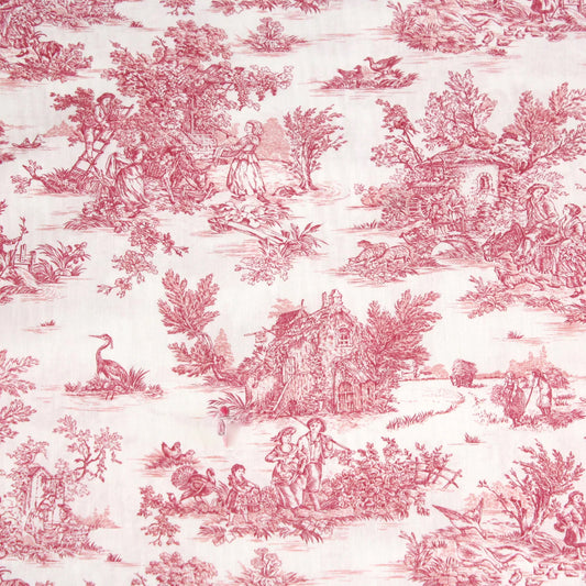 Chemise Arthur - Rose